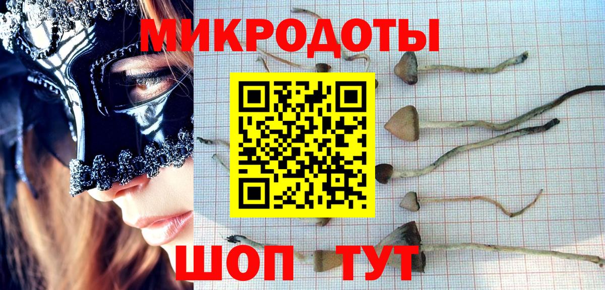 Галлюциногенные грибы Cubensis  Вход с VPN  Приморско-Ахтарск 